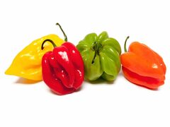 piments vert